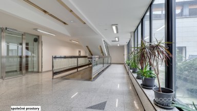 Pronájem tří kanceláří 114 m2 ulice Sokolovská, Praha 9
