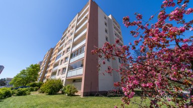 Prodej bytu 2+kk, 42,97 m² se sklepní kójí, ul. Pavlišovská, Praha 20 - Horní Počernice.