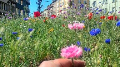 Pronájem bytu 2+kk, 48 m2, Praha 4 - Nusle, ul. K Podjezdu.